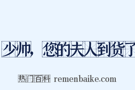 少帅，您的夫人到货了是什么意思的图片